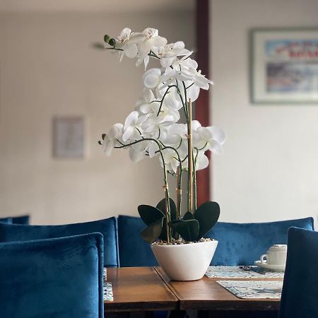 Hotel Le Pasteur Royan Bagian luar foto